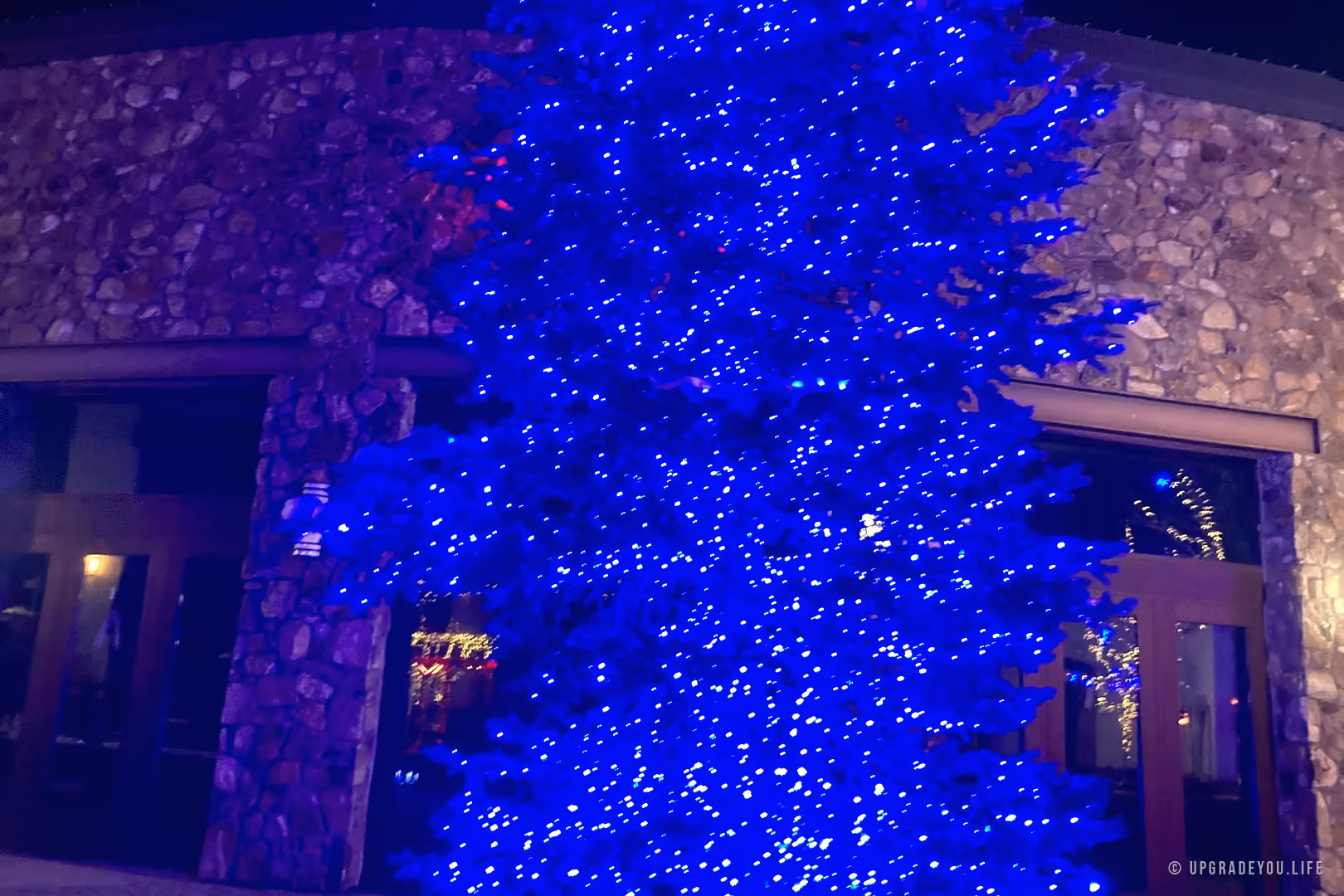 A glowing blue Christmas tree beneath a bright moon at night