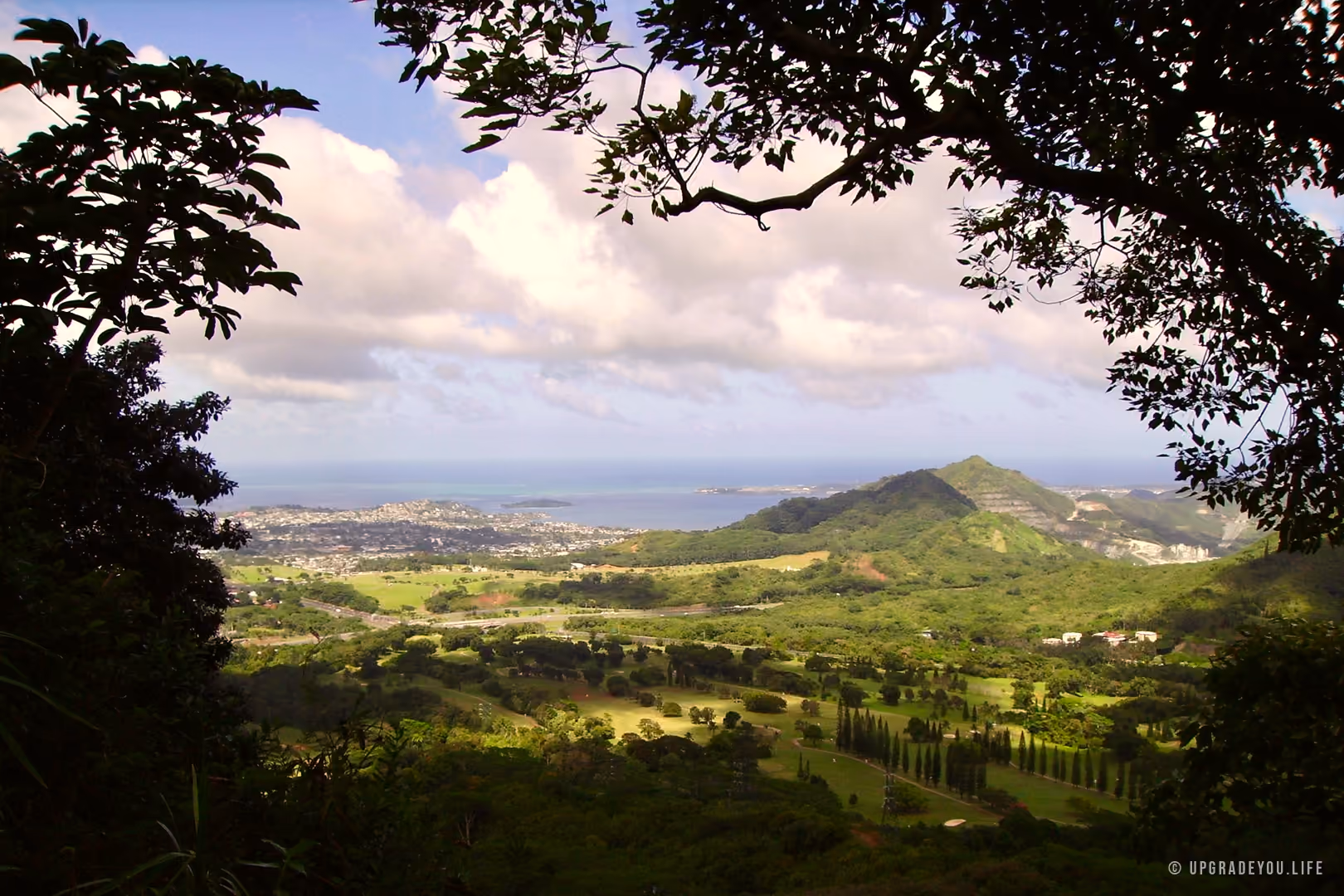 A lush green Oahu valley framed by trees, opening to the ocean