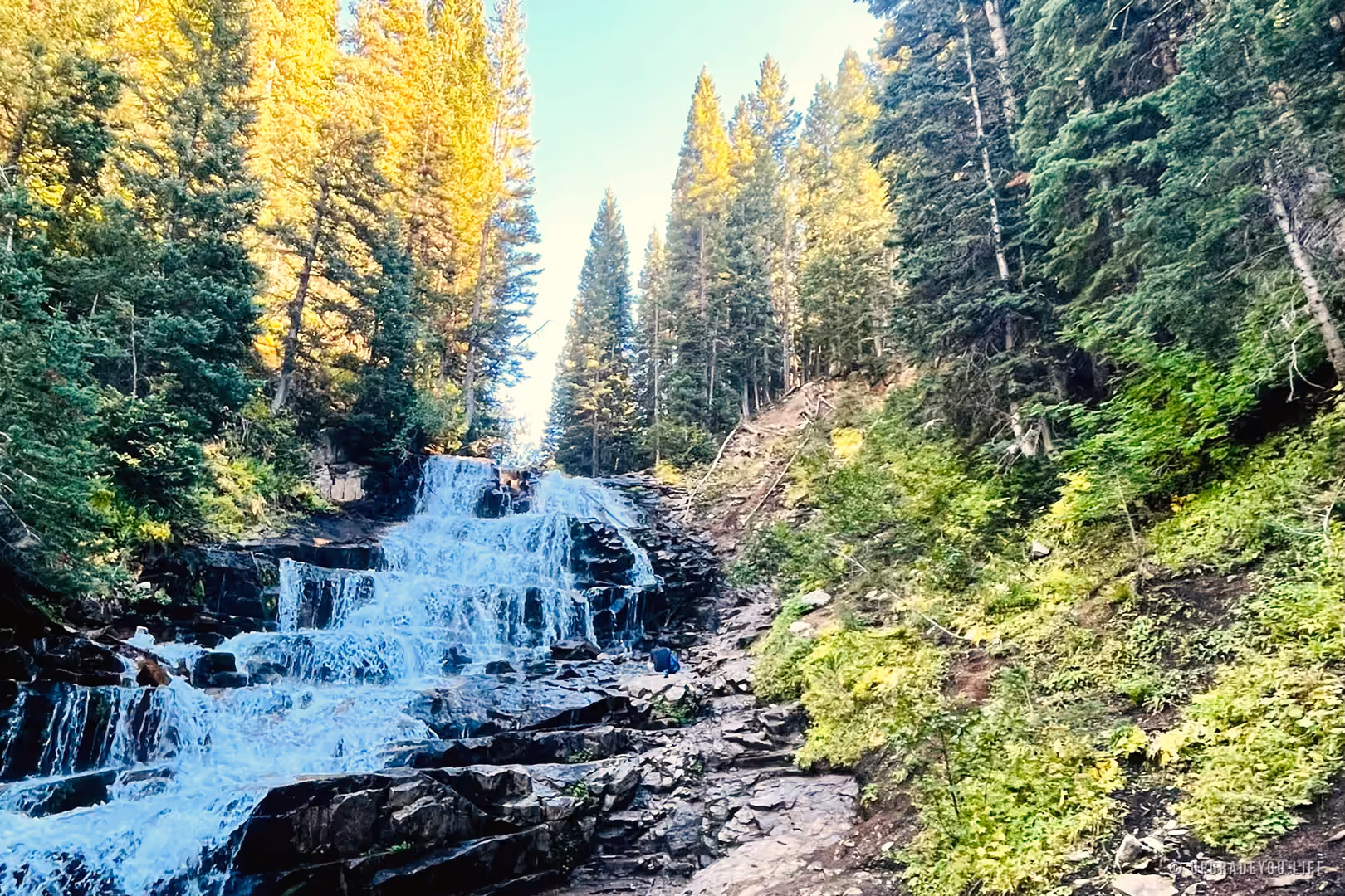 A powerful waterfall falling through dark forest rock