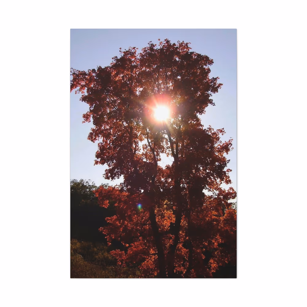 Red Fall Leaves Tree Canvas Print, Autumn Nature Photography canvas wall art by Jess LeFevre